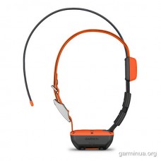 GPS-нашийник для собак Garmin Alpha T20 (стеження)
