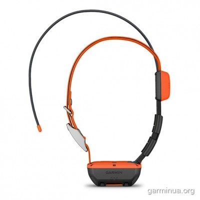 GPS-нашийник для собак Alpha T20 (стеження)