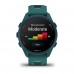 Garmin Forerunner 165 Music - Mist Gray/Whitestone